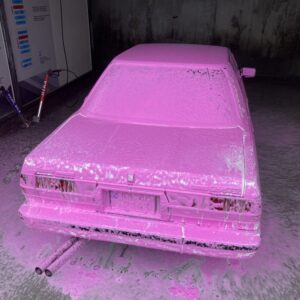 Crop-T Sakura Pink